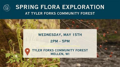 Spring Flora Exploration at Tyler Forks Community Forest, Tyler Forks ...