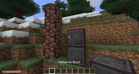 Image result for Minecraft Java Mod Name Future
