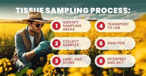 Image result for Tissue Sample