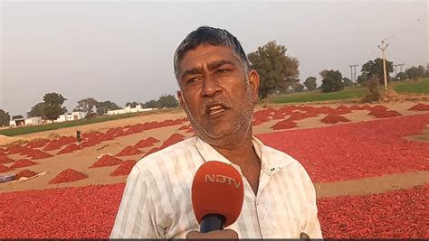 Marwar Mathania Mirch: लंबाई 6-7 इंच, तीखापन ऐसा कि दिमाग झन्ना जाए ...