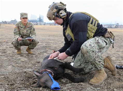 Military dog handlers hone skills in K-9 first aid exercise | Article ...