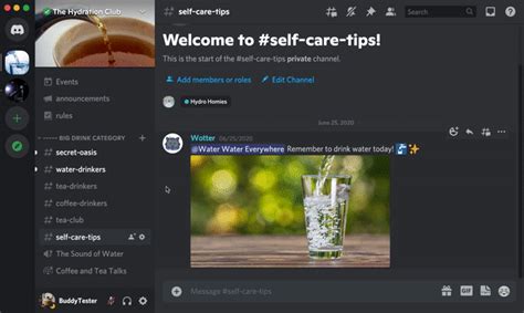 Обзорная статья и инструкция по работе в Discord — Teletype