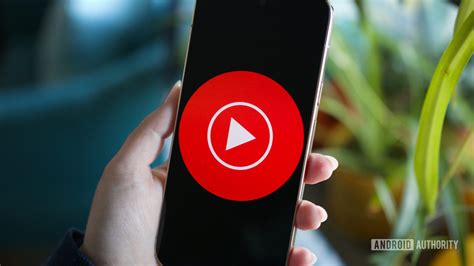 Why Is Youtube Popular