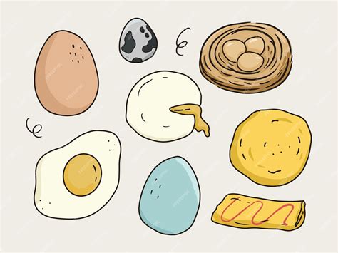 Variation of eggs drawing. duck eggs, quail eggs, eggs on nest, fry ...