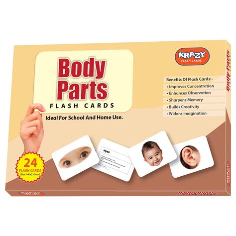 Buy Krazy Body Parts Flash Cards for Kids & Toddlers I 24 Real Picture ...