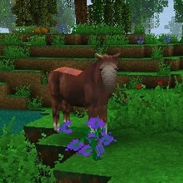 How To Make A Fur Coat In Survival Craft 2 - Tradingbasis