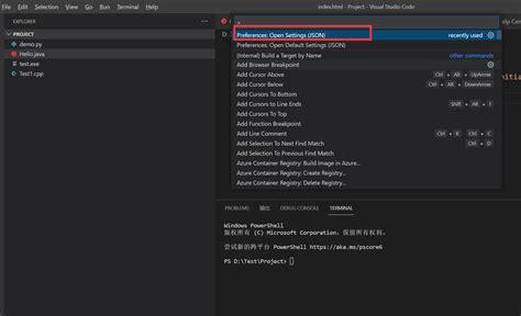How to Install Java 18 for Vscode 的图像结果