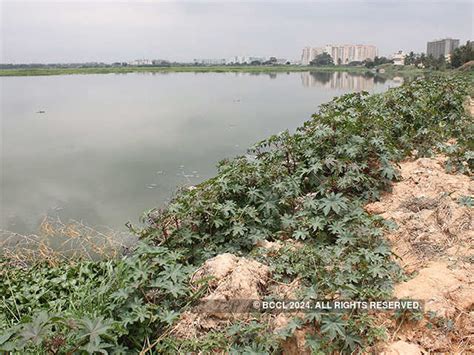 Declining water bodies - Water mismanagement leaves India's Silicon ...