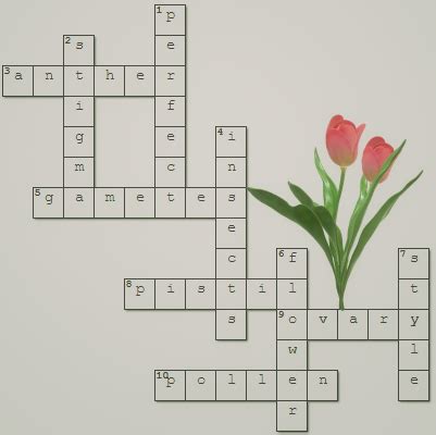 Flower Part Crossword Clue | Best Flower Site