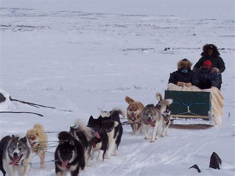 Experience Dogsledding with the Inuit of Nunavik | Mahoosuc