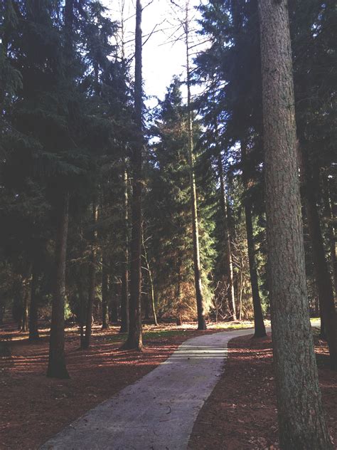 Image result for Nature