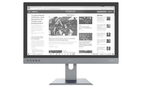 Buy Dasung 253 - 25.3 E-Ink Monitor With Frontlight High Contrast Kind ...
