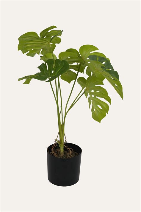 Monstera Artificial Plant Big | Premium Tropical Faux Plant - Fusion ...