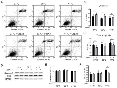 Insect Peptide CopA3 Mitigates the Effects of Heat Stress on Porcine ...