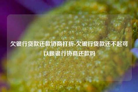 欠银行贷款还款协商打折-欠银行贷款还不起可以跟银行协商还款吗-地宝网