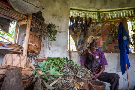 Traditional Healing Practices And Their Role In Tribal Communities