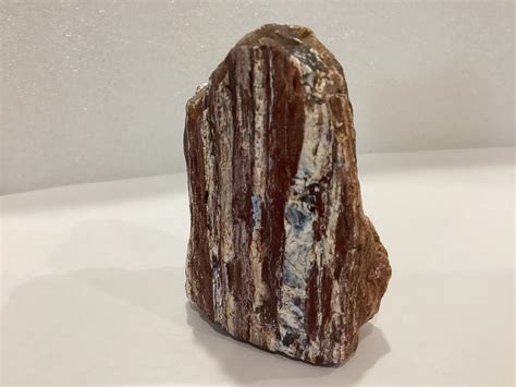 How to Clean Petrified Wood - Cleaning Basic