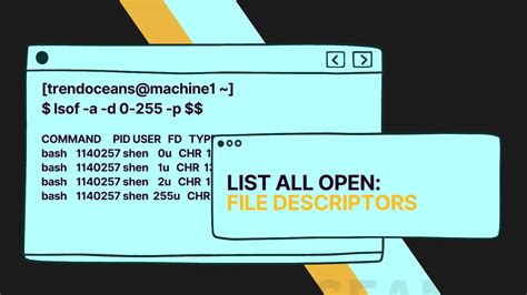 Image result for Open List File