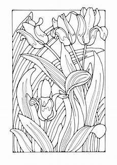 malvorlagen jugendstil malvorlage tulpen flower coloring tulpe malvorlagen jugendstil malvorlage tulpen flower coloring tulpe