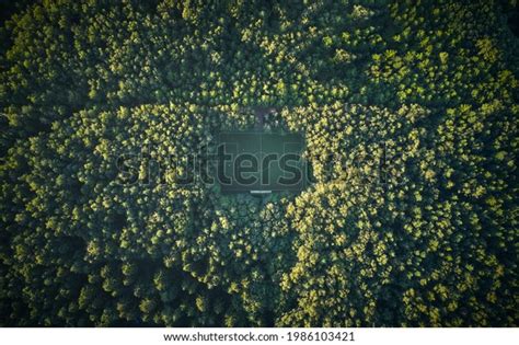 Sportsfield within Forest 的图像结果