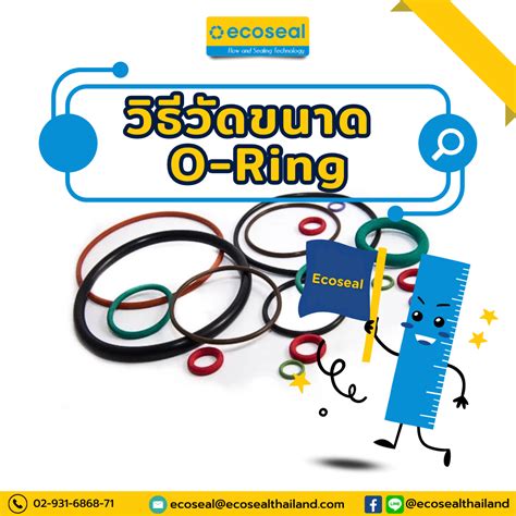 How to measure O-Ring วิธีวัดขนาด โอริง