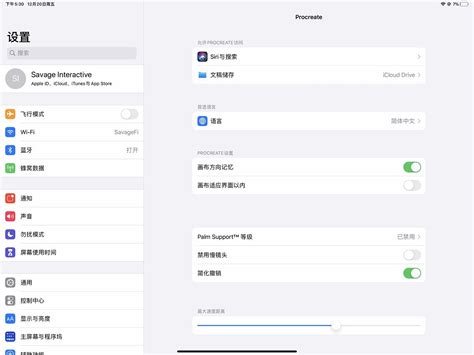 Procreate Software Tutorial 的图像结果