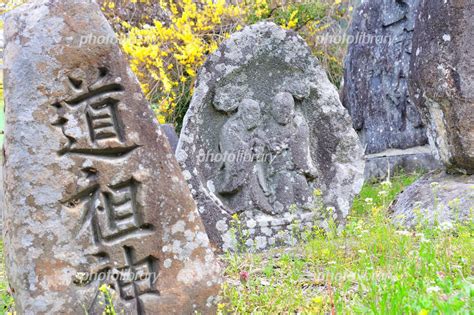 旧明科町池桜の接吻道祖神 : 北信州探検日記