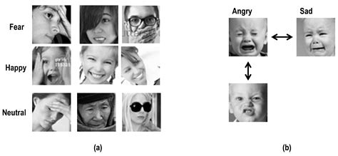Facial Expression Recognition Robust to Occlusion and to Intra ...