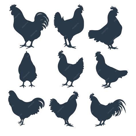 Silhouettes of chickens and roosters in various posture | Premium AI-generated vector