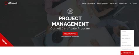 Project Manager Program 的图像结果