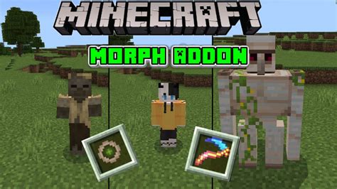 Image result for Minecraft Java Morph Mod 1.18