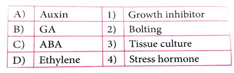 Match the following columns