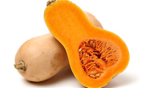 Butternut Squash vs Pumpkin: What Are The Differences? - A-Z Animals
