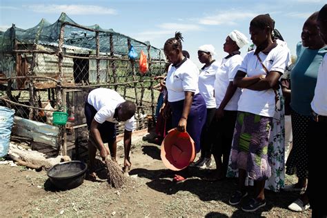 ABCD Community Partnership Program 的图像结果