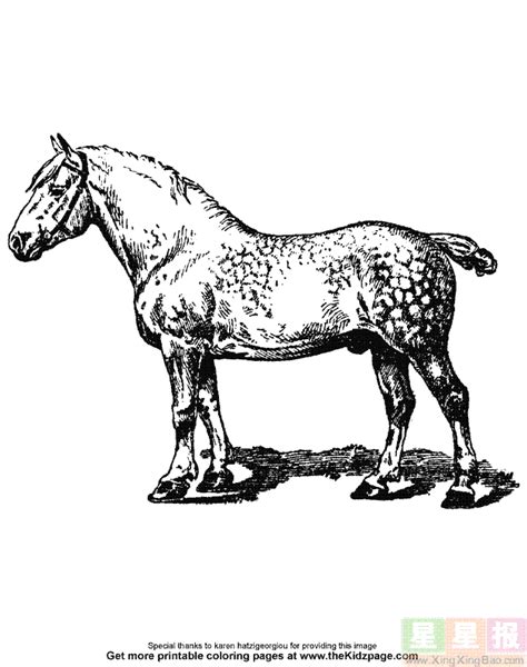 骏马简笔画 的图像结果