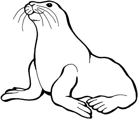 Seal Coloring Pages - ColoringBay