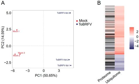 Comprehensive Ubiquitome Analysis of Nicotiana benthamiana Leaves ...