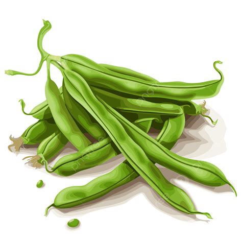 Green Beans Clipart Green Beans Vector Eps Cartoon, Cartoon Clipart ...