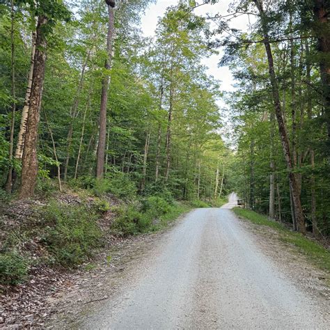 Coolidge State Park Campground | Plymouth, VT