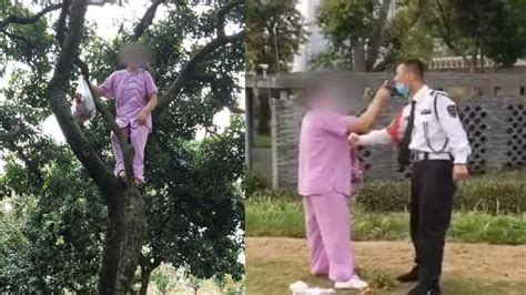 大妈公园爬树私摘一袋荔枝，被保安劝阻还紧拽不放_淘宝吃货-梨视频官网-Pear Video