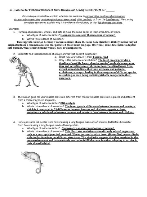 Evidence for Evolution Worksheet 的图像结果
