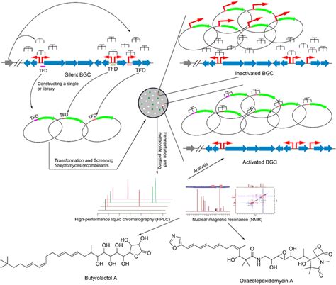 Image result for TFD Valby Strategy