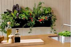 Indoor Garden Containers by How To Grow An Indoor Garden Cache Valley Family Magazine Indoor Garden Containers