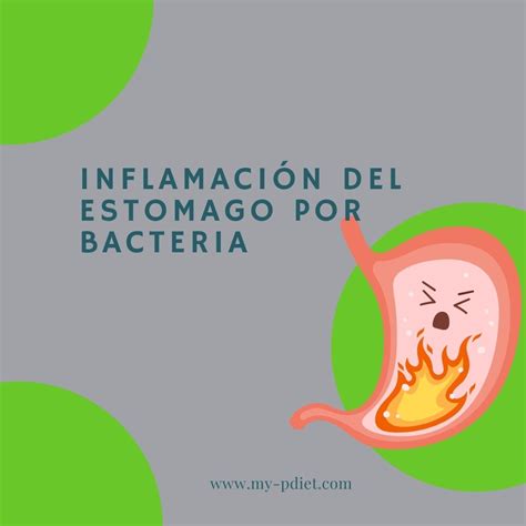 Inflamación del estómago por bacteria - My-PDiet.com - Nutrición