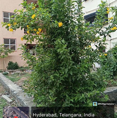 SEED INDIA NGO || Sustainable Agriculture