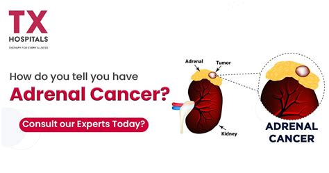 How are Adrenal Gland Disorders clinically diagnosed