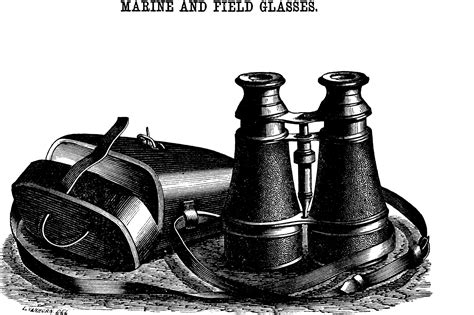 Free Use Vector Graphics 的图像结果