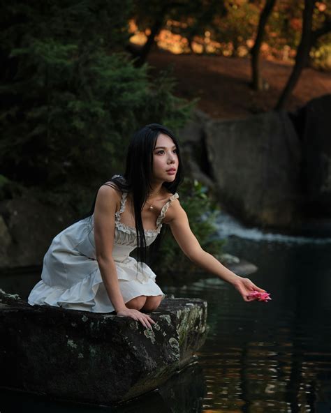 Nature Slideshow 的图像结果