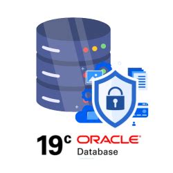 Image result for Formation Oracle Database
