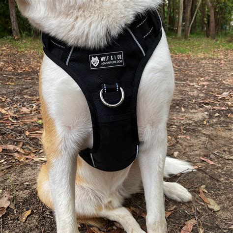Front attaching dog harness australia online